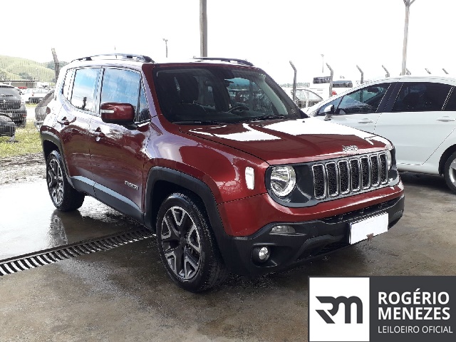 RENEGADE LNGTD AT 2019